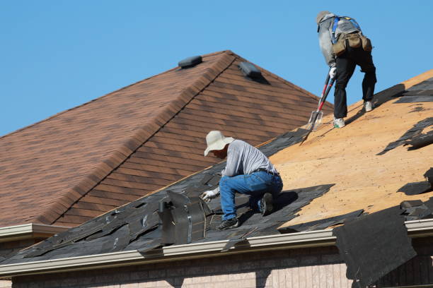 Best Roof Moss and Algae Removal  in Kutztown, PA