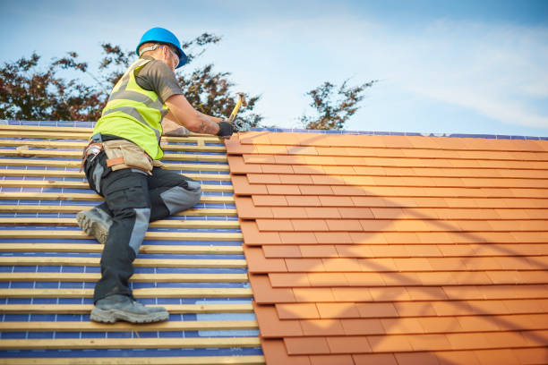 Best Asphalt Shingle Roofing  in Kutztown, PA